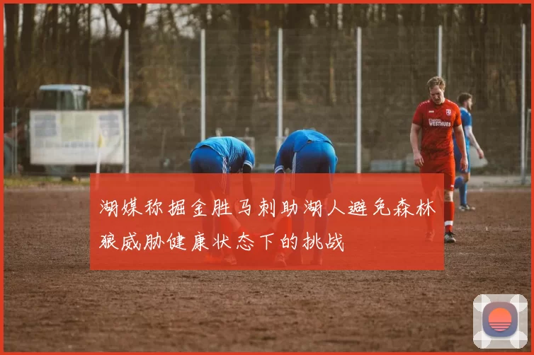 湖媒称掘金胜马刺助湖人避免森林狼威胁健康状态下的挑战