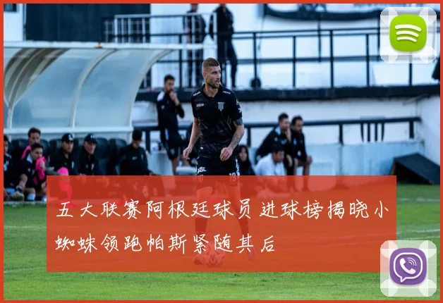 五大联赛阿根廷球员进球榜揭晓小蜘蛛领跑帕斯紧随其后